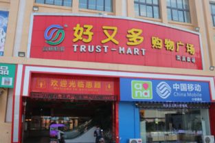 樂清市淡溪通惠超市 預包裝與散裝食品的品質之選